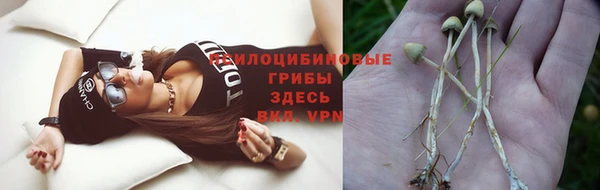 mdma Заводоуковск