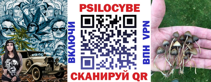 KRAKEN ссылки  Кандалакша  Галлюциногенные грибы Cubensis  купить наркоту 